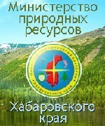 виде азия лес отзывы хабаровск для рабочего