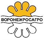 Воронежросагро готовится запустить новый экспериментальный цех по производству масложировой продукции.