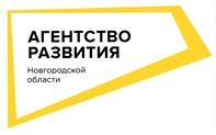 Проект по строительству цементного завода в Новгородской области находится в прединвестиционной фазе.