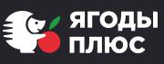 Александр Моор: главная составляющая в привлечении инвестиций и работе с инвесторами – это команда.