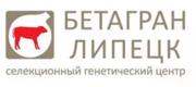 Бетагран Липецк построит мини-завод по выпуску твердых сыров и сливочного масла. Агроинвестор. 1 марта 2019