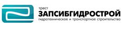 Трест Запсибгидрострой погрузил в основание временного причала на реке Зее 161 сваю.
