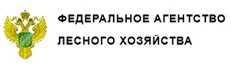 Рослесхоз: в 2024 году площадь лесовосстановления и лесоразведения будет доведена до 7,7 млн га.
