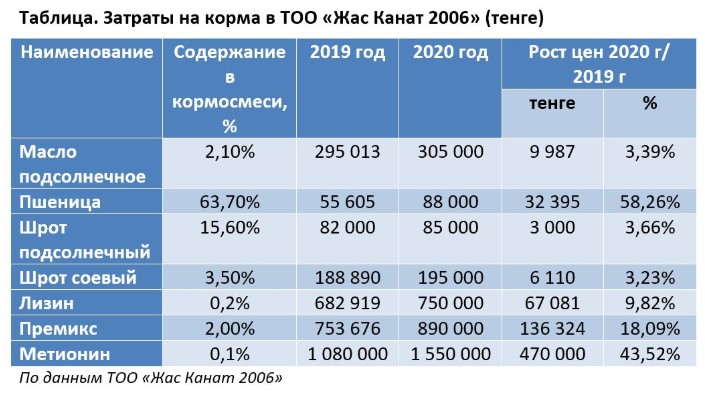 Жас канат. Кайрат маишев директор тоо жас-канат 2006. Тоо жаса. Aio company, тоо. Маишев кайрат.