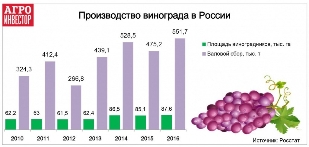Купить Технический Виноград Для Вина В Москве