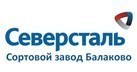 Северсталь может перенести запуск завода в Саратовской области на 2014 год.