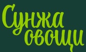 Вице-премьер РФ Александр Новак: В Ингушетии есть все условия для достижения амбициозных показателей развития.