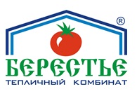 Комбинат Берестье завершает импортозамещающий проект по модернизации теплиц. Советская Белоруссия. 10 апреля 2024