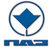 Крупнейший перевозчик Амурской области полностью обновил парк автобусов благодаря господдержке.