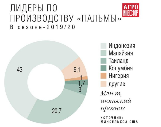 индонезия сейчас. пальмоядровое масло. власти индонезии ограничили экспорт пальмового масла с 28 апреля. плоды масличной пальмы. пальмовое масло индонезия.