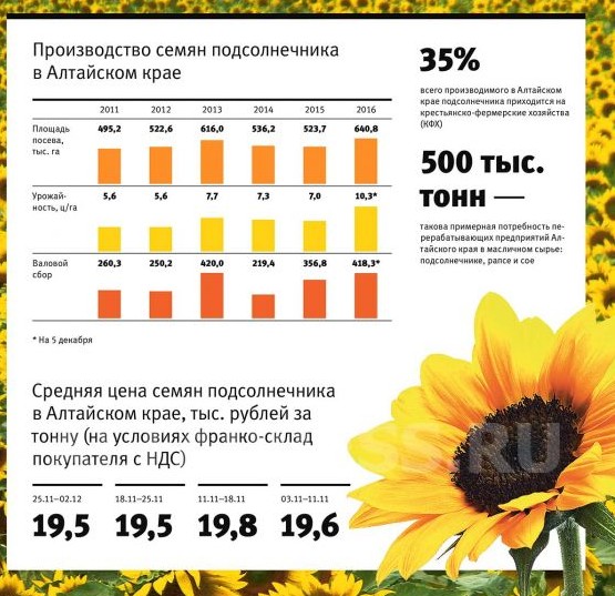 Купить Семена Подсолнечника В Оренбургской Области