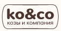 Nogachev/Design   Ko & Co.