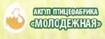 Алтайский край: птицефабрика Молодежная планирует увеличить производство яйца на 20%