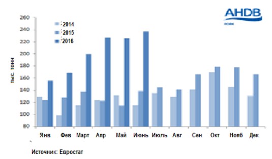 Евро экспорт