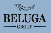 BELUGA GROUP     .