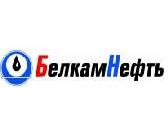 Главгосэкспертиза России одобрила проект второго этапа обустройства Вятской площади Арланского месторождения.