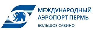 Телетрапы в пермском аэропорту могут запустить осенью 2019 года.