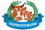 В Хабаровском крае намерены увеличить производство молока на 2,6 тыс. тонн в год.