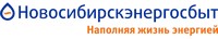 Новосибирскэнергосбыт получил кредитный рейтинг на уровне ruА.