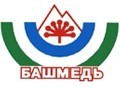 На Подольском месторождении в Башкортостане началось возведение шахтного копра.